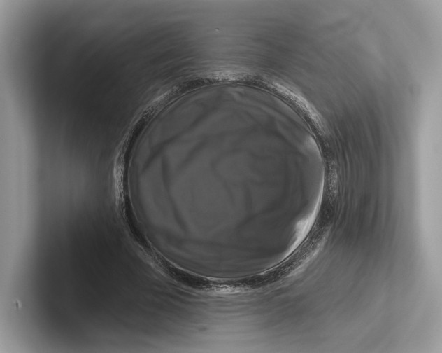 X0000100920585200807221118