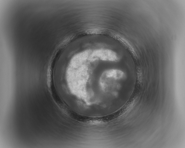 X0000100920586200807221118