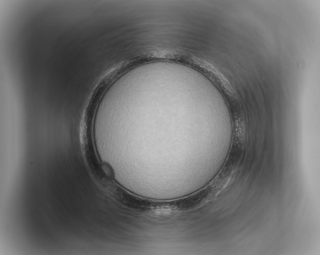 X0000100920587200807221118