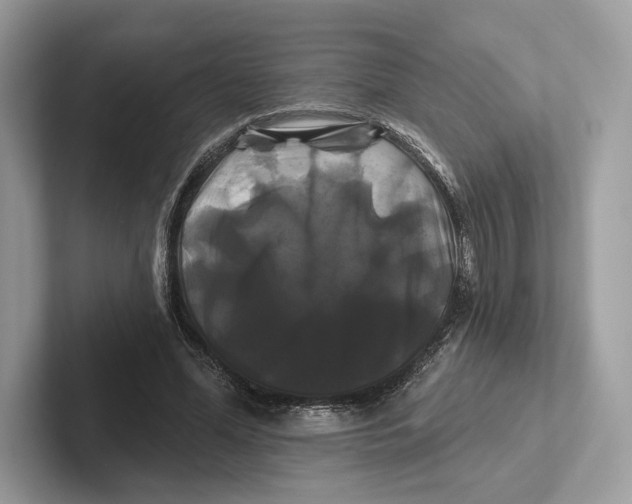X0000100920588200807221118