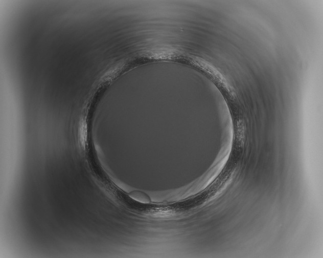 X0000100920589200807221117