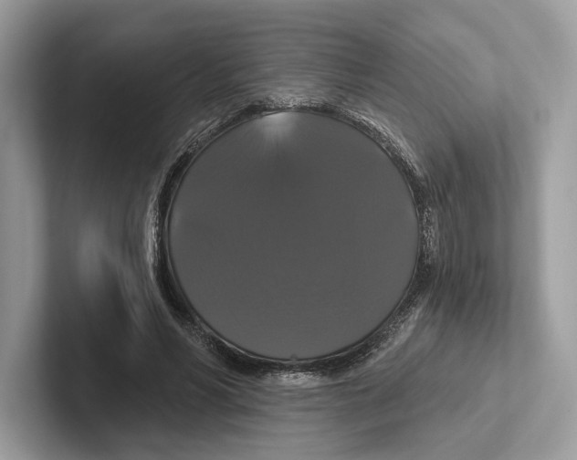 X0000100920590200807221117
