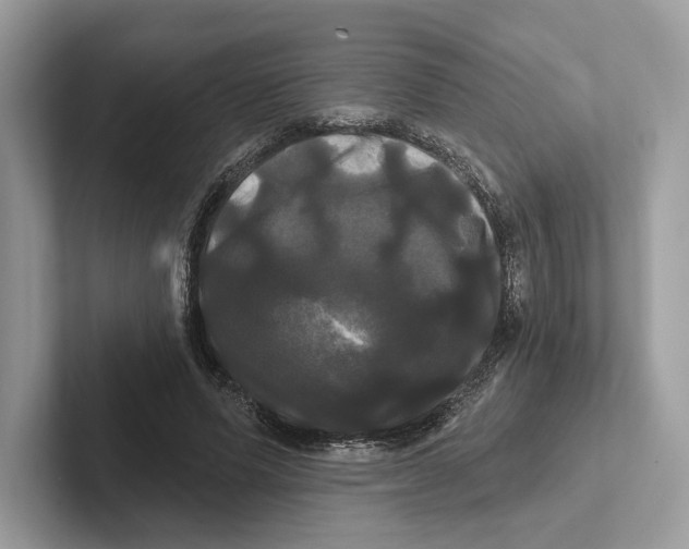X0000100920591200807221117
