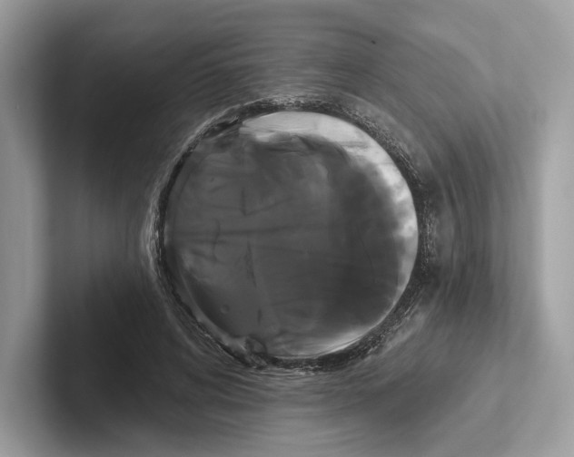 X0000100920592200807221117