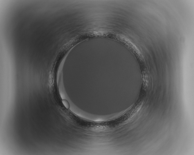 X0000100920593200807221117