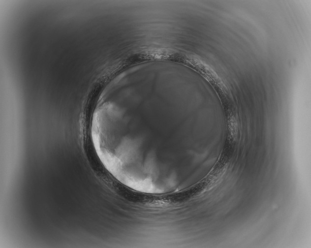 X0000100920594200807221117