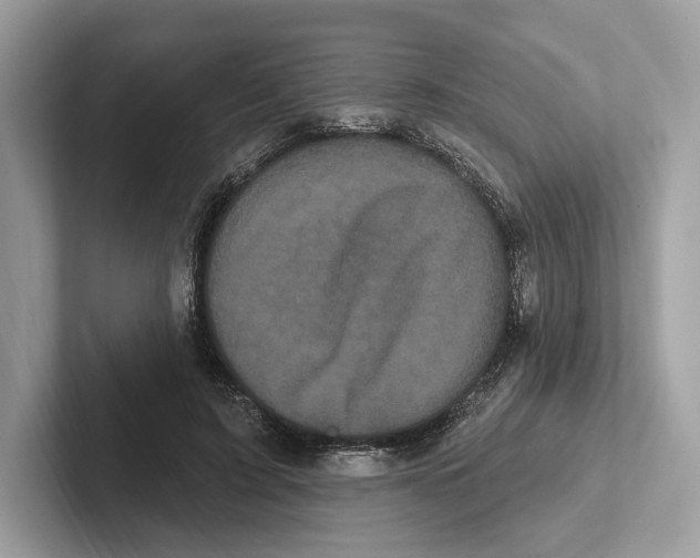 X0000100920595200807221117