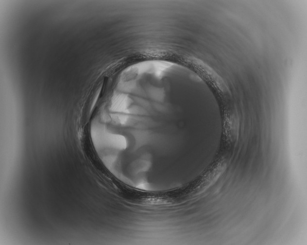 X0000100920596200807221117
