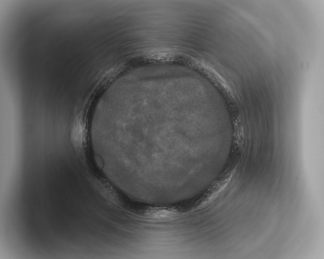 X0000100920597200807221117
