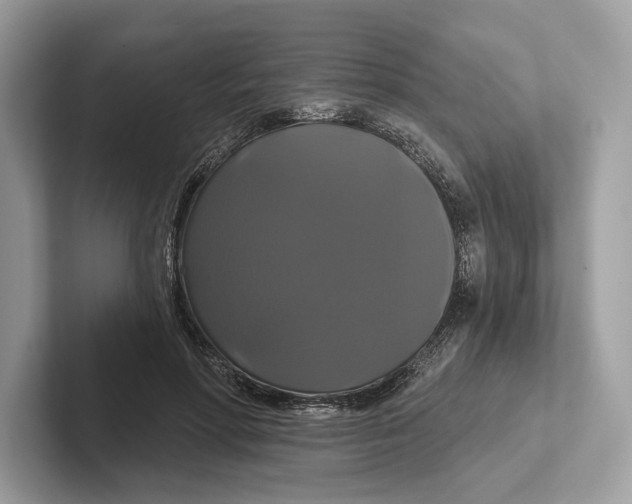 X0000100920598200807221117