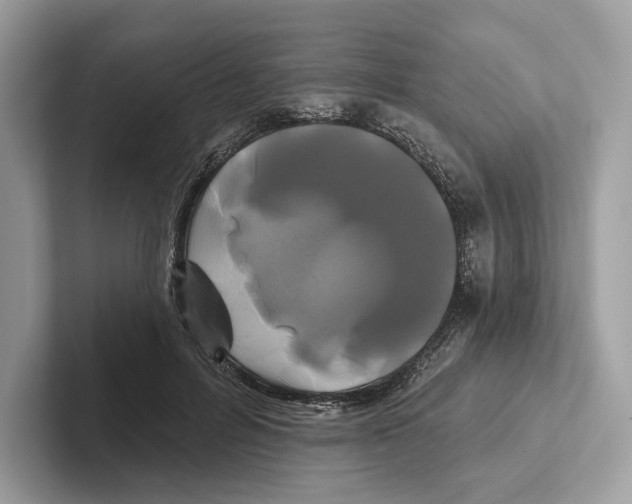 X0000100920600200807221117