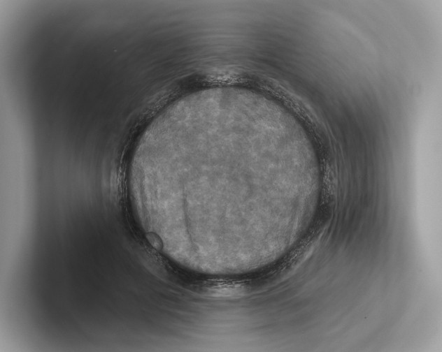 X0000100920601200807221117