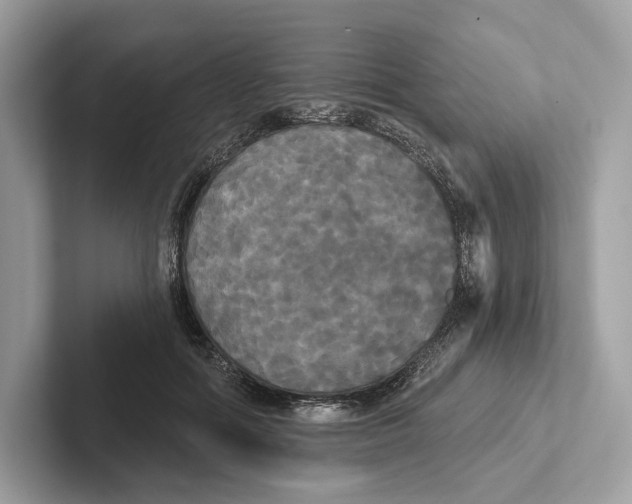 X0000100920602200807221117