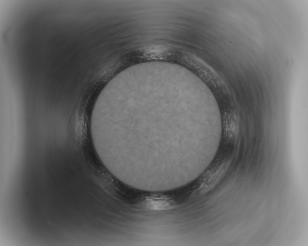 X0000100920603200807221117