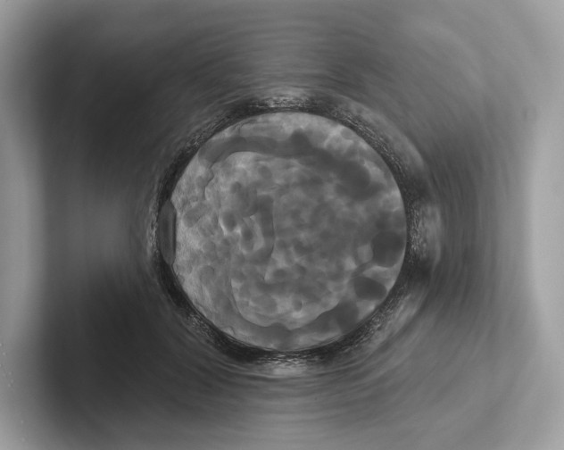 X0000100920604200807221117
