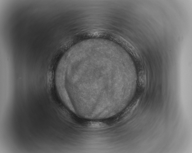 X0000100920605200807221117
