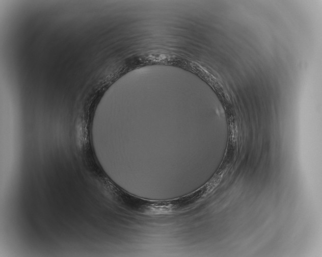 X0000100920606200807221117