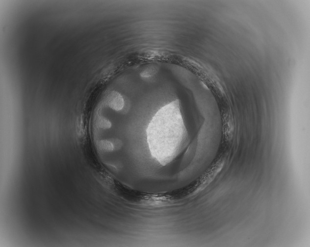 X0000100920607200807221117