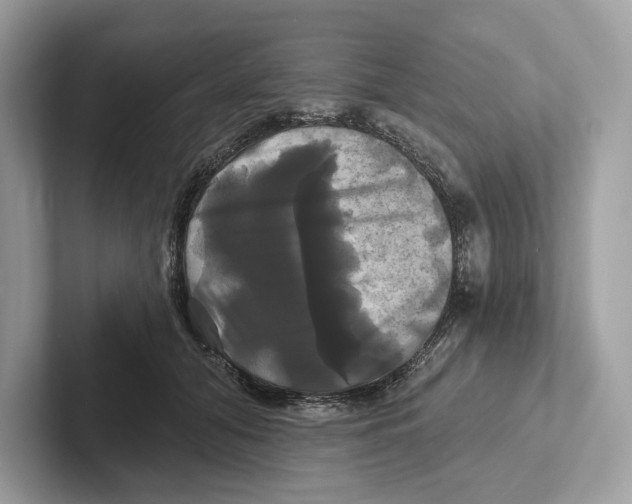 X0000100920608200807221117