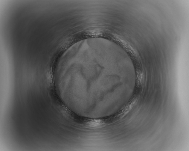 X0000100920609200807221117