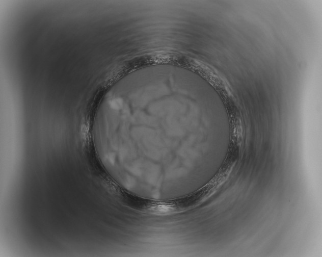 X0000100920610200807221117
