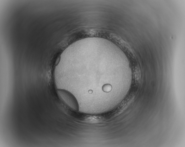 X0000100920611200807221117