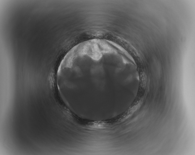 X0000100920612200807221117
