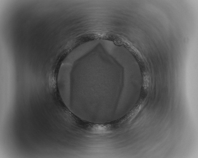 X0000100920613200807221117
