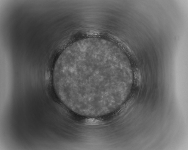 X0000100920614200807221117