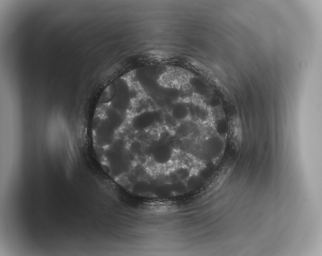X0000100920615200807221117