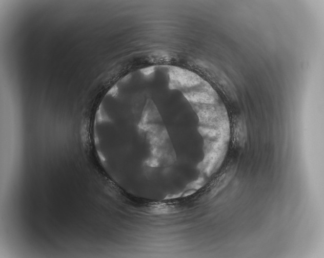 X0000100920616200807221117