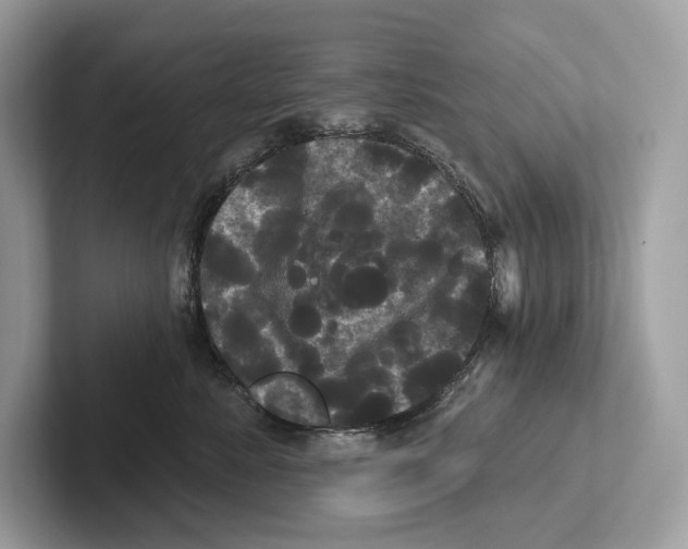 X0000100920619200807221117