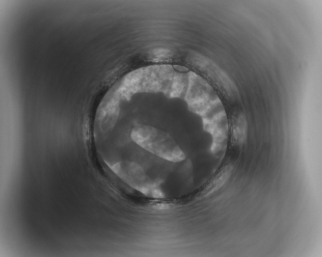 X0000100920620200807221117