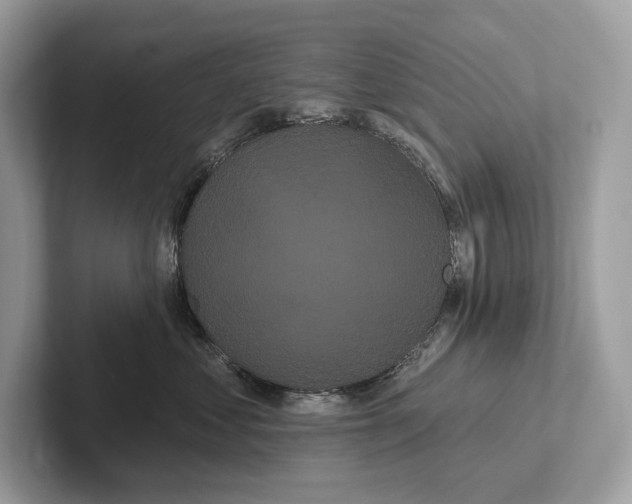 X0000100920621200807221117