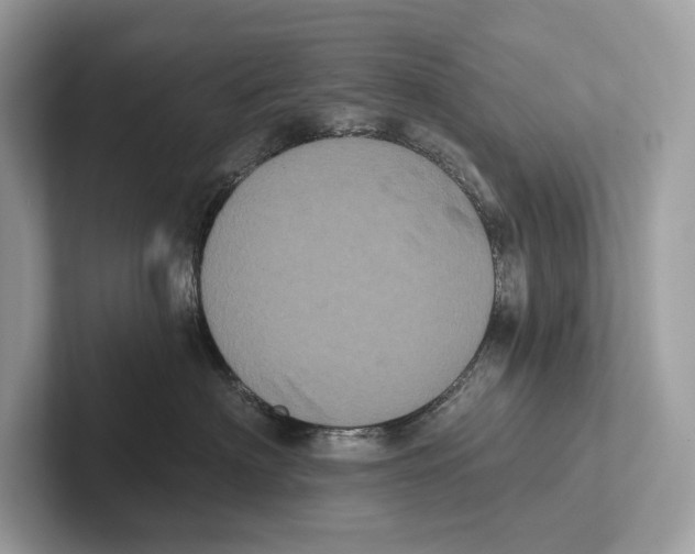 X0000100920622200807221117