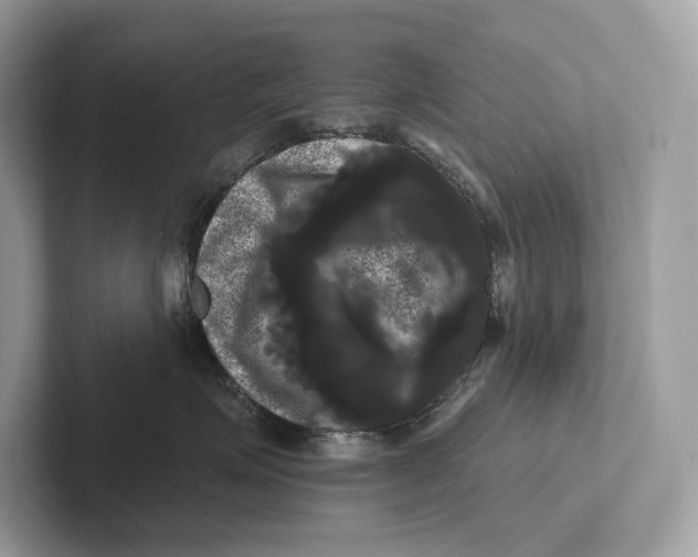 X0000100920623200807221117