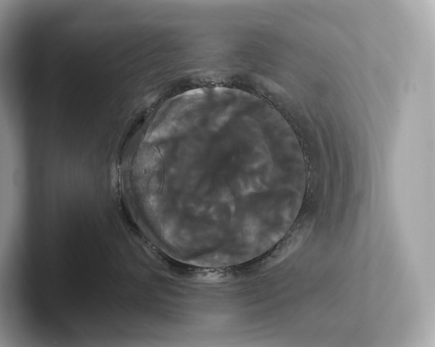 X0000100920624200807221117