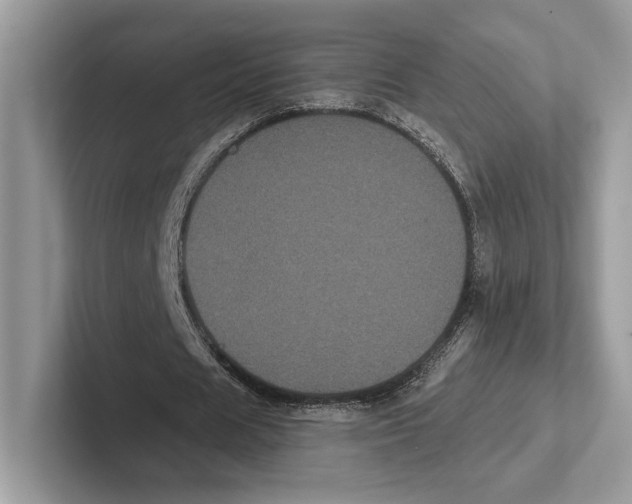 X0000100920625200807221116