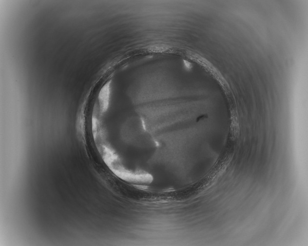 X0000100920626200807221116