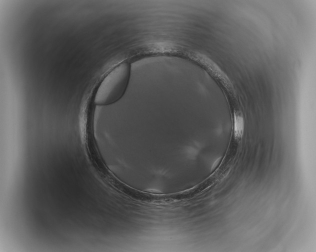 X0000100920627200807221116