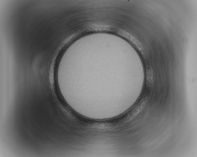 X0000100920629200807221116