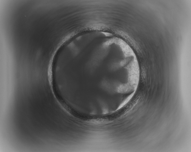 X0000100920630200807221116