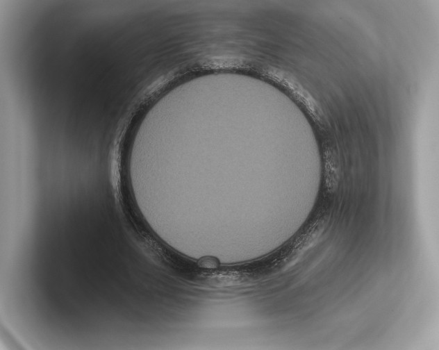 X0000100920631200807221116