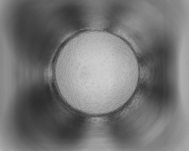 X0000100920632200807221116