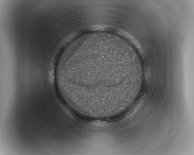 X0000100920633200807221116