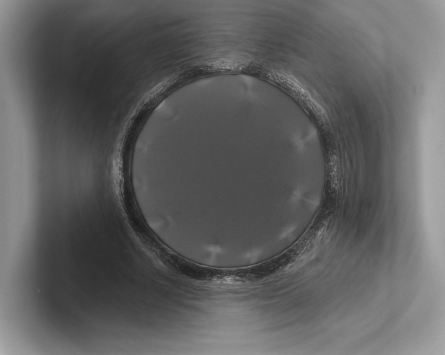 X0000100920634200807221116