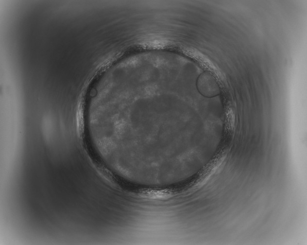 X0000100920638200807221117