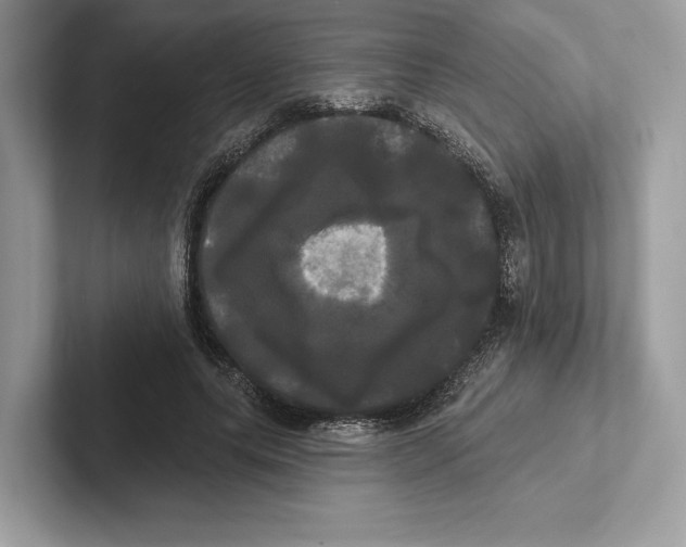 X0000100920639200807221117