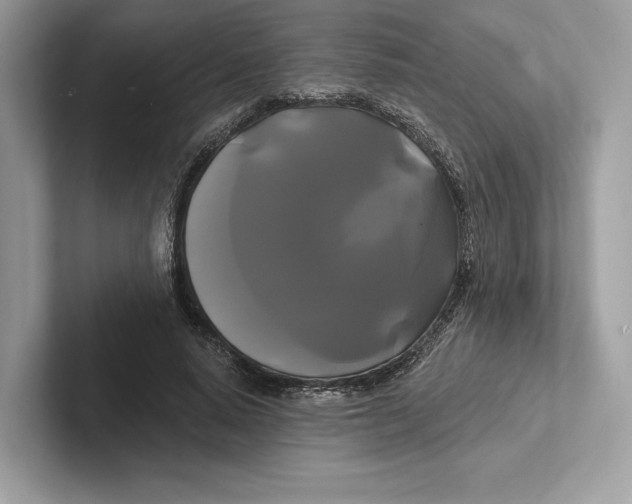 X0000100920640200807221117