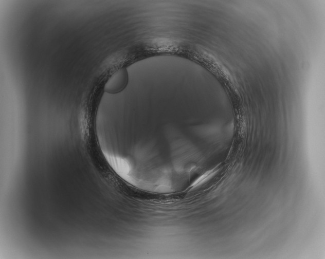 X0000100920643200807221117
